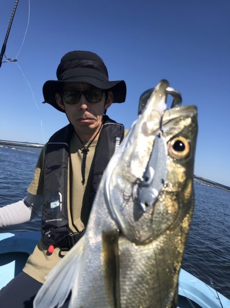 アマテラス 釣果