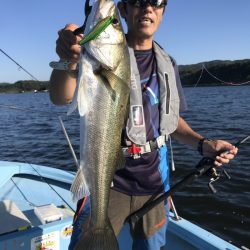 アマテラス 釣果