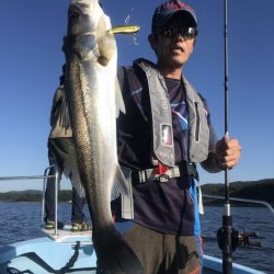 アマテラス 釣果