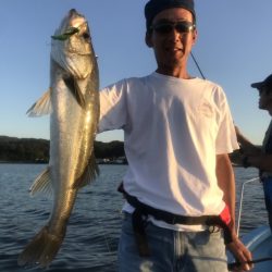 アマテラス 釣果