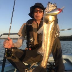 アマテラス 釣果