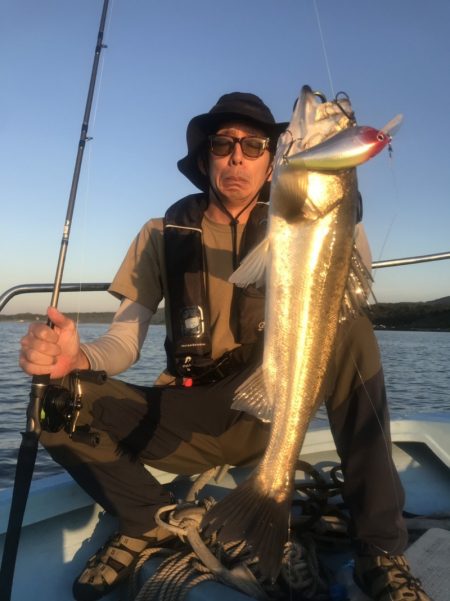 アマテラス 釣果