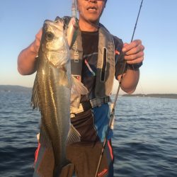 アマテラス 釣果