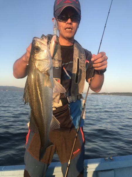 アマテラス 釣果