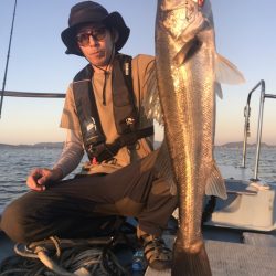 アマテラス 釣果