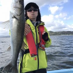 アマテラス 釣果