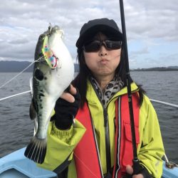 アマテラス 釣果