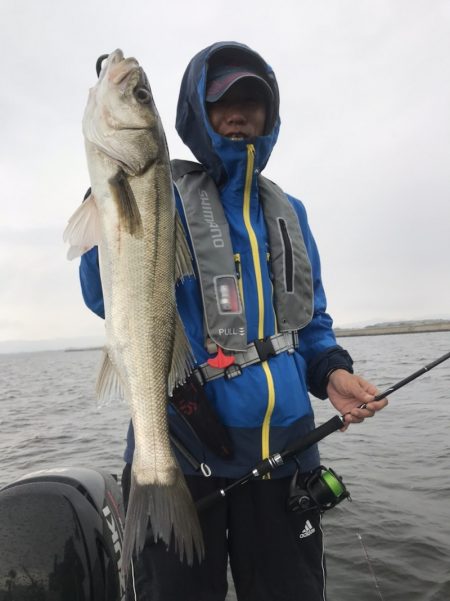 アマテラス 釣果