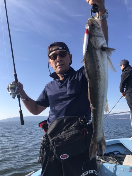 アマテラス 釣果