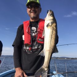 アマテラス 釣果