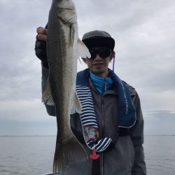 アマテラス 釣果