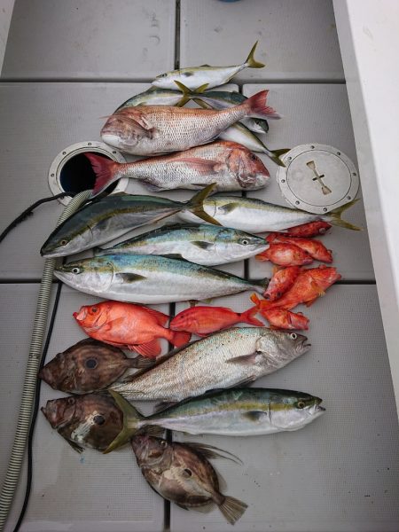 エンペラー 釣果