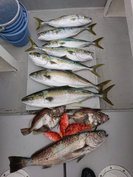 エンペラー 釣果