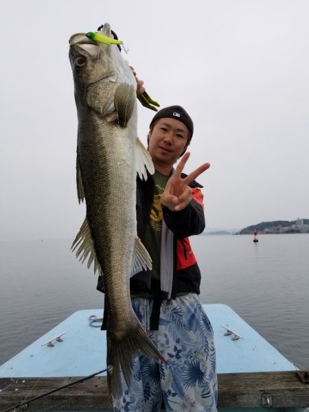 アマテラス 釣果