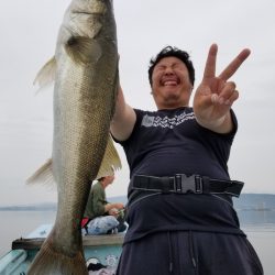 アマテラス 釣果