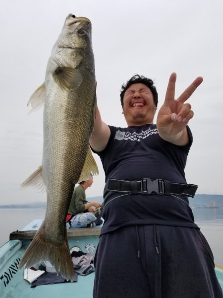 アマテラス 釣果