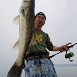 アマテラス 釣果