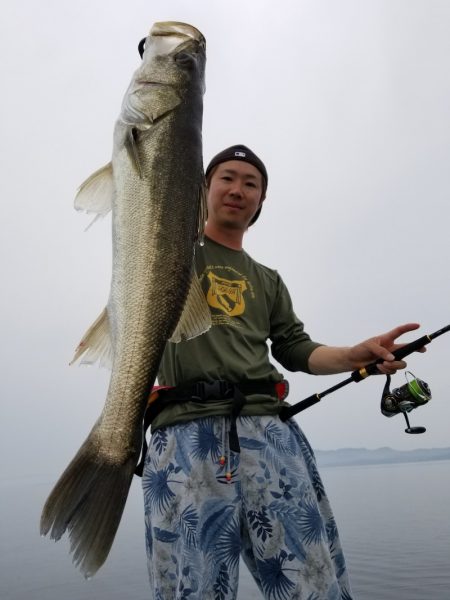 アマテラス 釣果