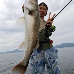 アマテラス 釣果