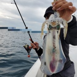 ソルトウォーターガイドフレンズ 釣果