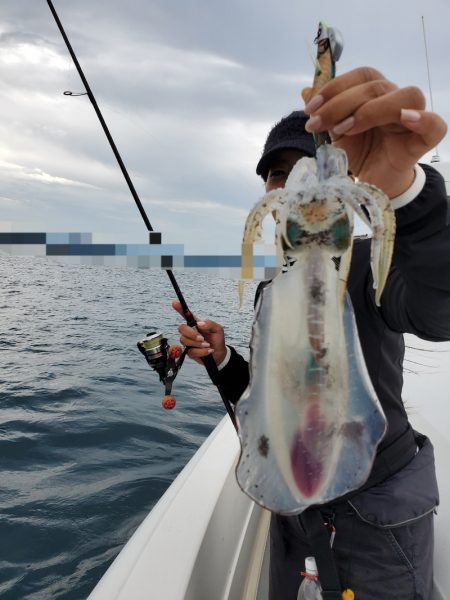 ソルトウォーターガイドフレンズ 釣果