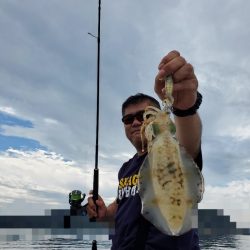 ソルトウォーターガイドフレンズ 釣果