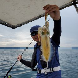 ソルトウォーターガイドフレンズ 釣果