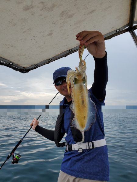 ソルトウォーターガイドフレンズ 釣果