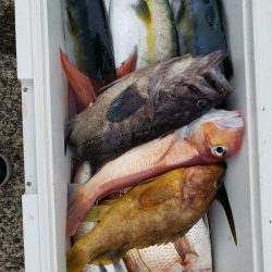 神海丸 釣果