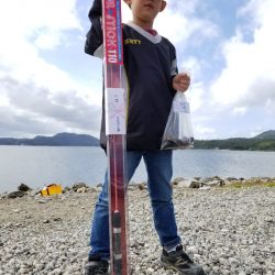 アマテラス 釣果