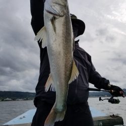 アマテラス 釣果