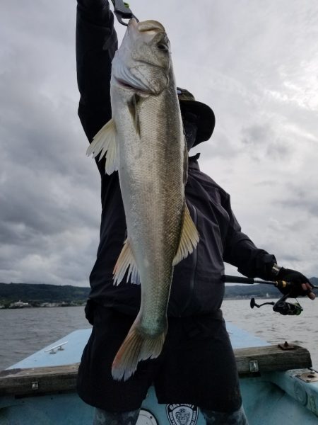 アマテラス 釣果