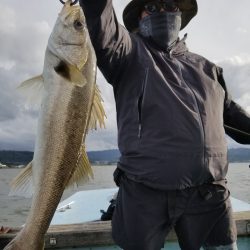 アマテラス 釣果