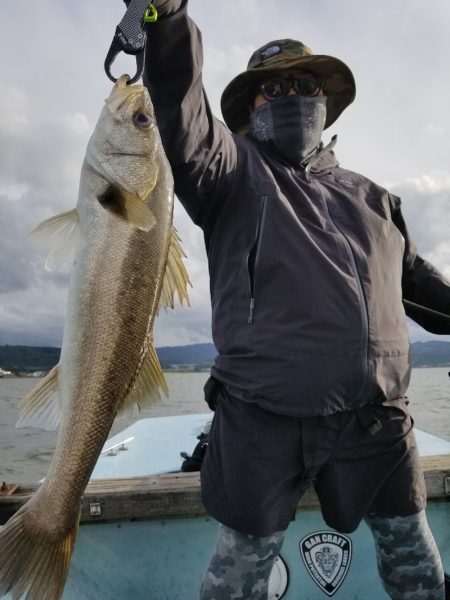 アマテラス 釣果