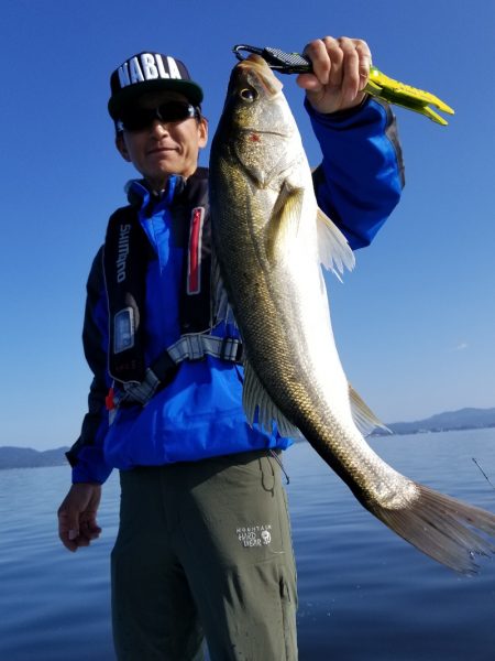 アマテラス 釣果