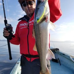 アマテラス 釣果