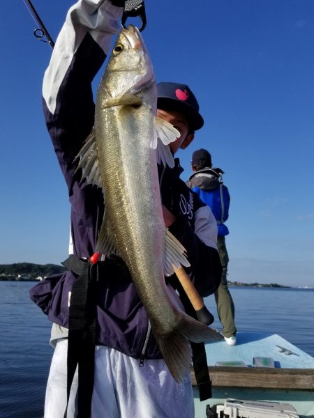 アマテラス 釣果