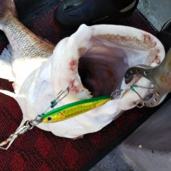 光生丸 釣果