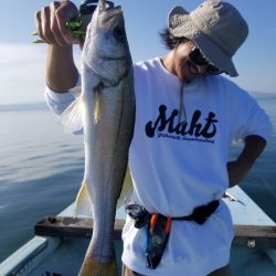 アマテラス 釣果