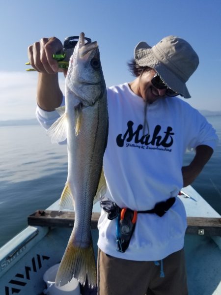 アマテラス 釣果