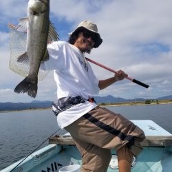 アマテラス 釣果