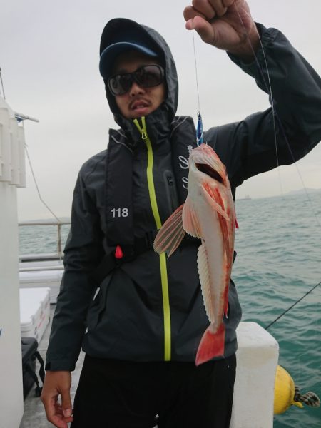 ありもと丸 釣果