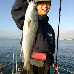 bay style 釣果
