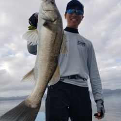 アマテラス 釣果