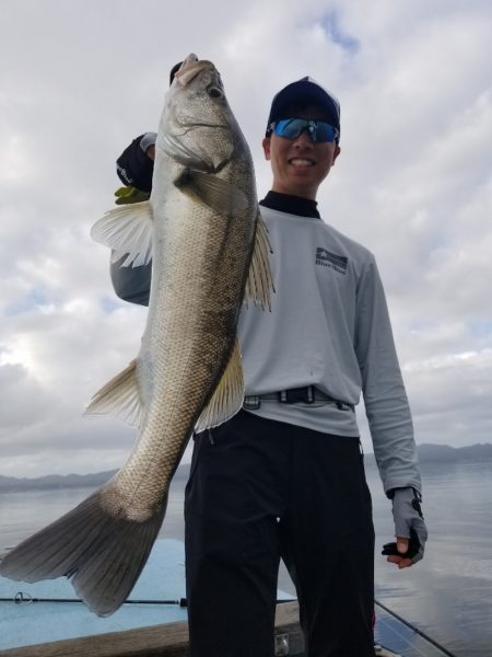 アマテラス 釣果