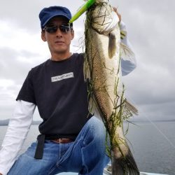 アマテラス 釣果