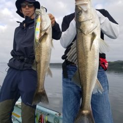 アマテラス 釣果