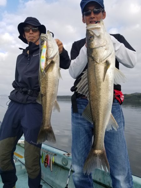 アマテラス 釣果