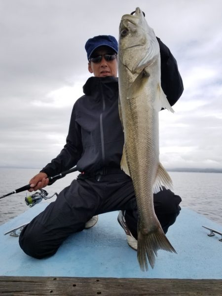 アマテラス 釣果