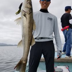 アマテラス 釣果